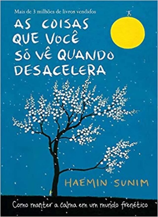 Review do Livro "As Coisas que Você Só Vê Quando Desacelera". Vale a pena comprar? coisas
